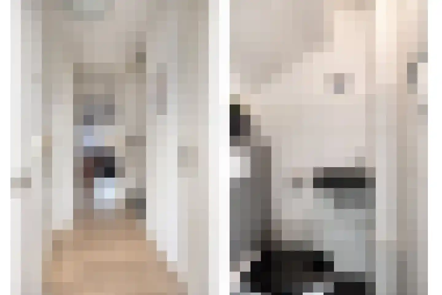 Sniphoek 25 Spijkenisse thumbnail 15