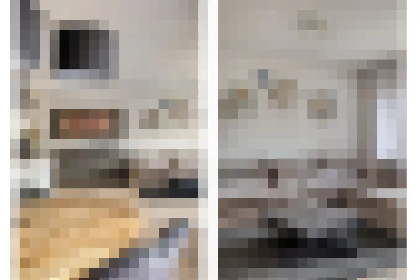 Sniphoek 25 Spijkenisse thumbnail 17