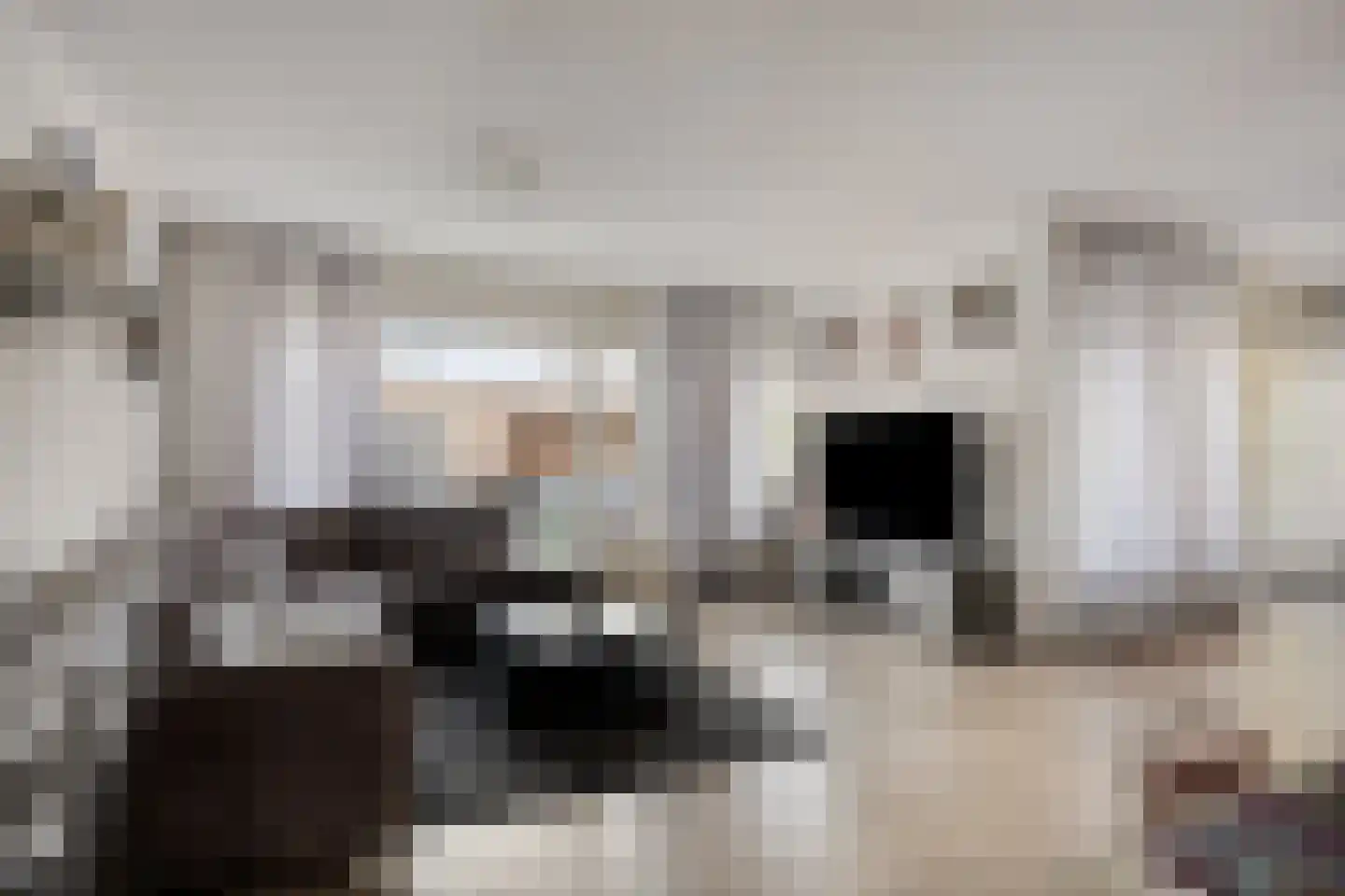 Sniphoek 25 Spijkenisse thumbnail 19