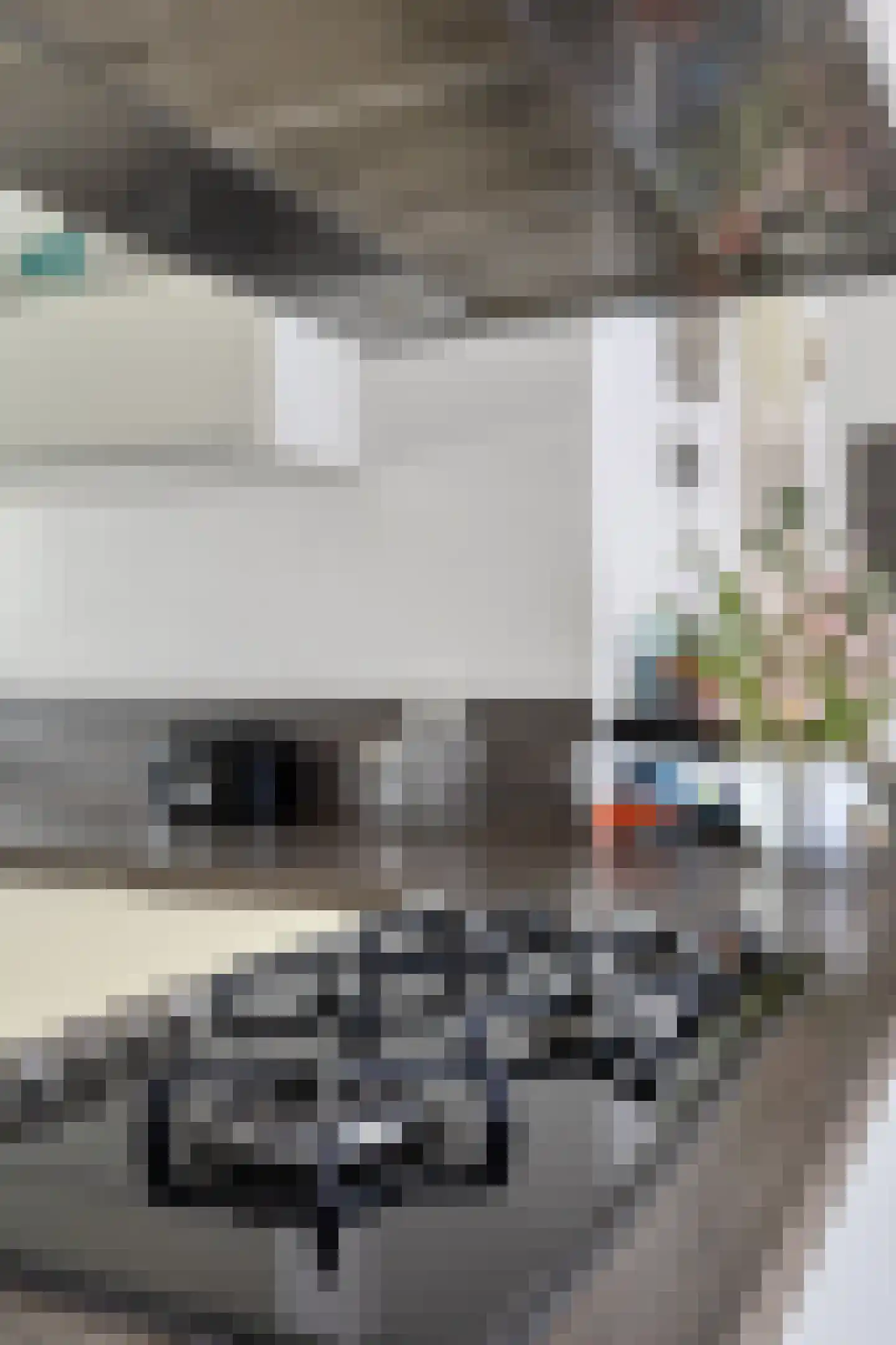 Sniphoek 25 Spijkenisse thumbnail 28