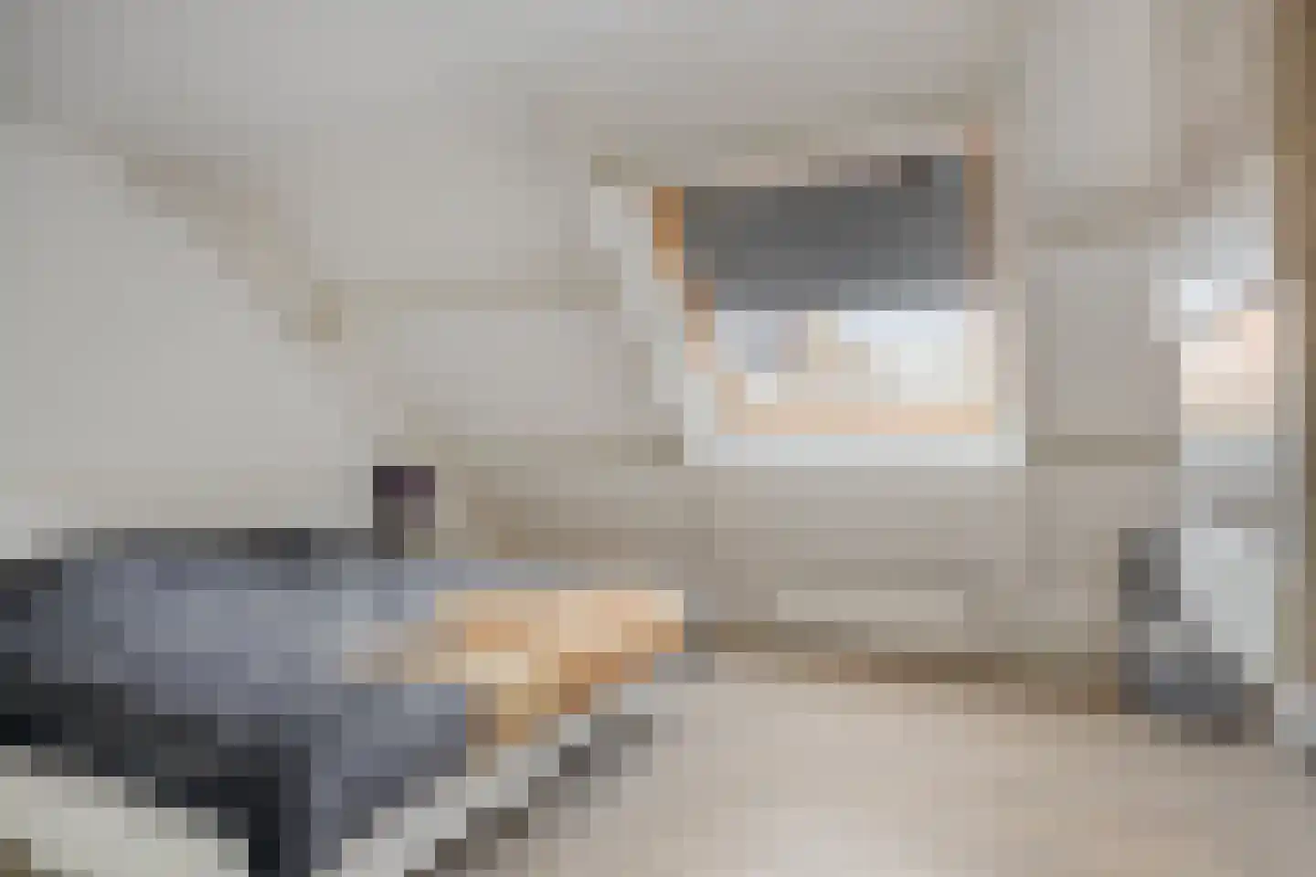Sniphoek 25 Spijkenisse thumbnail 33