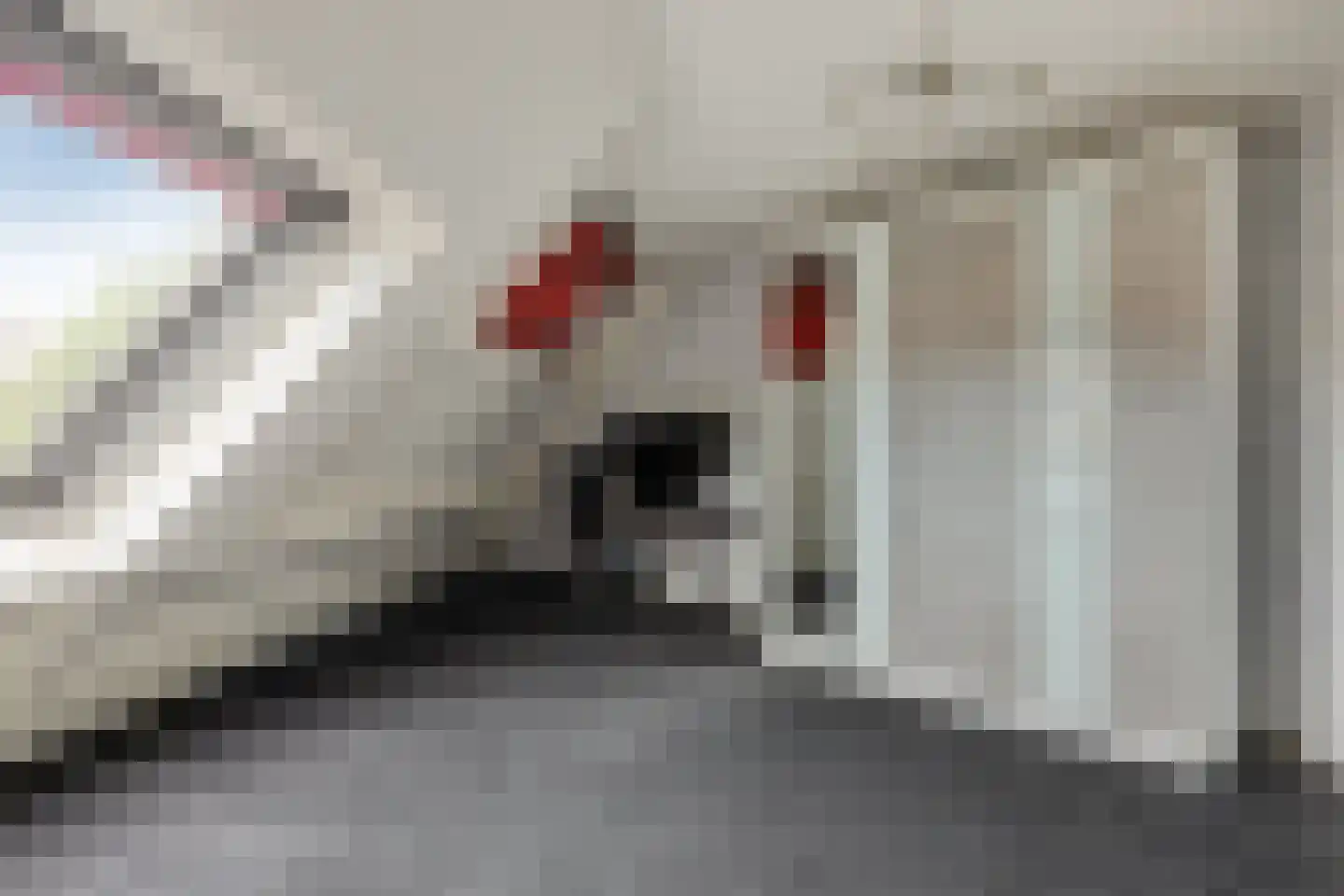 Sniphoek 25 Spijkenisse thumbnail 44