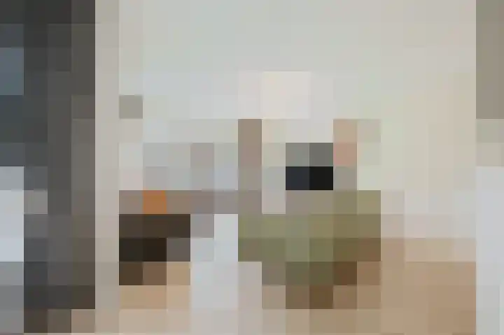 Sniphoek 27 Spijkenisse thumbnail 11