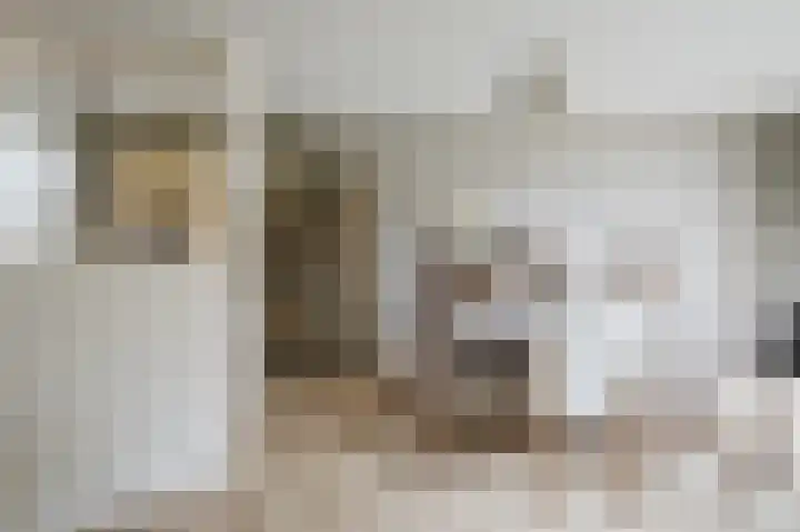 Sniphoek 27 Spijkenisse thumbnail 12