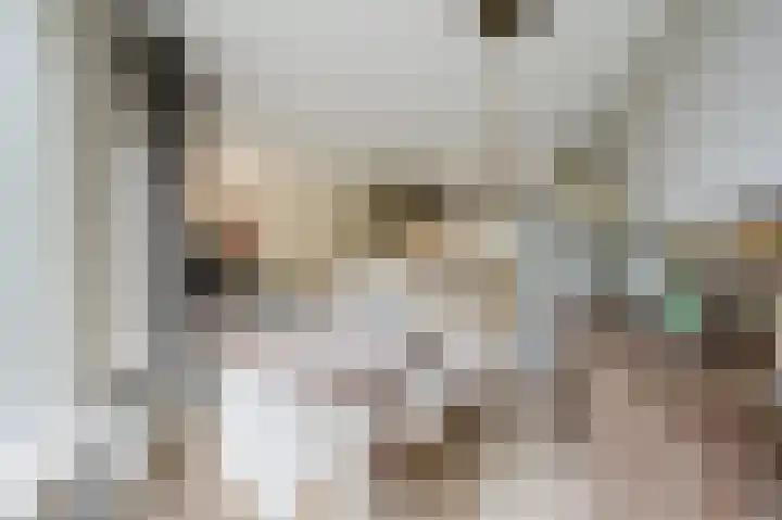 Sniphoek 27 Spijkenisse thumbnail 13