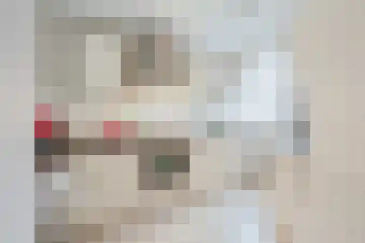 Sniphoek 27 Spijkenisse thumbnail 14