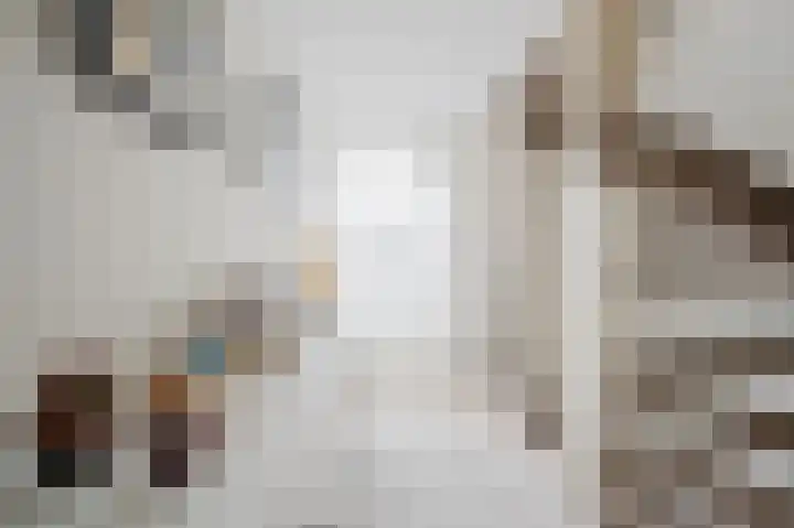 Sniphoek 27 Spijkenisse thumbnail 17