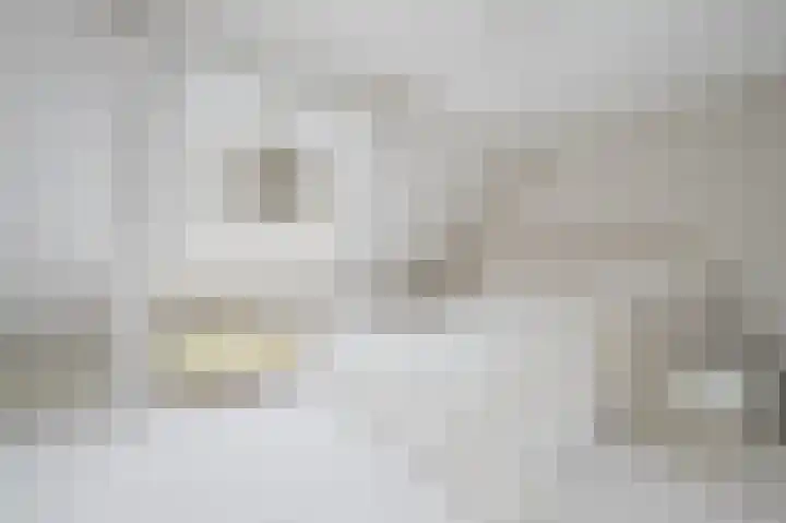 Sniphoek 27 Spijkenisse thumbnail 18