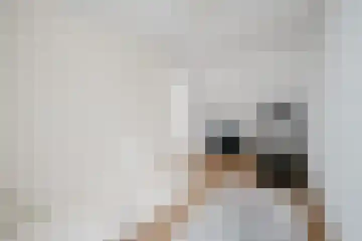 Sniphoek 27 Spijkenisse thumbnail 22