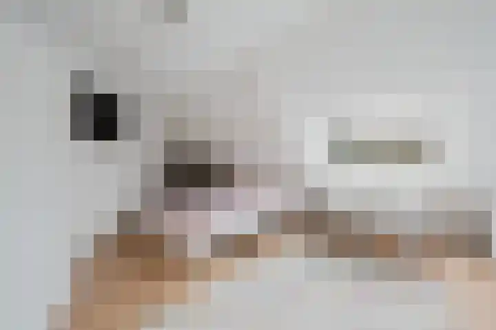 Sniphoek 27 Spijkenisse thumbnail 23