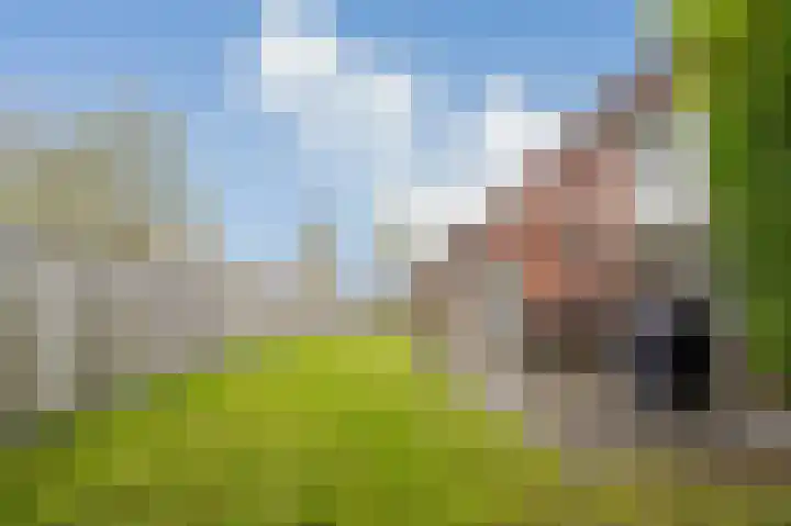Sniphoek 27 Spijkenisse thumbnail 24