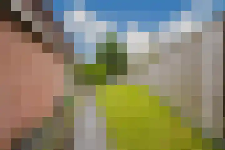 Sniphoek 27 Spijkenisse thumbnail 25
