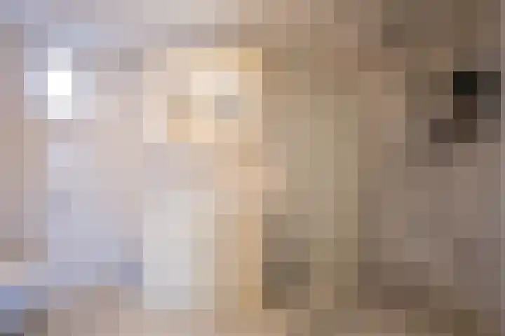 Sniphoek 27 Spijkenisse thumbnail 4