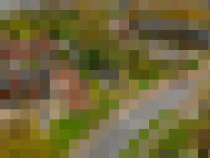 Sniphoek 27 Spijkenisse thumbnail 5