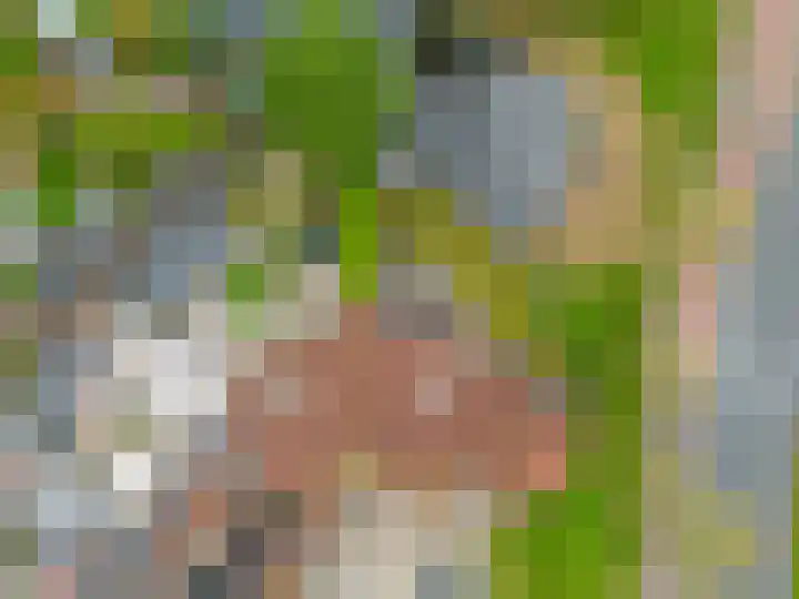 Sniphoek 27 Spijkenisse thumbnail 6