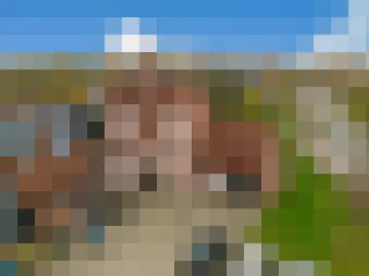 Sniphoek 27 Spijkenisse thumbnail 7