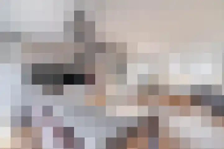 Sniplaan 11 Rijswijk thumbnail 10
