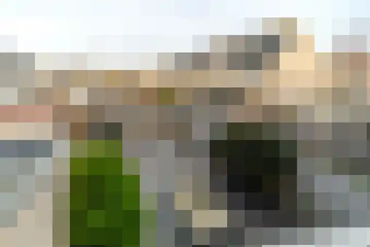 Sniplaan 11 Rijswijk thumbnail 23