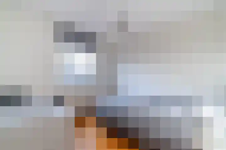 Sniplaan 11 Rijswijk thumbnail 24