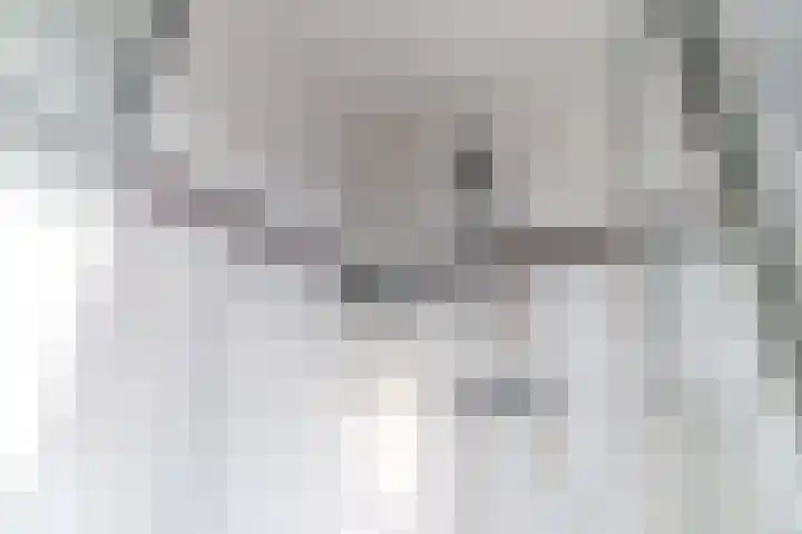 Sniplaan 11 Rijswijk thumbnail 28
