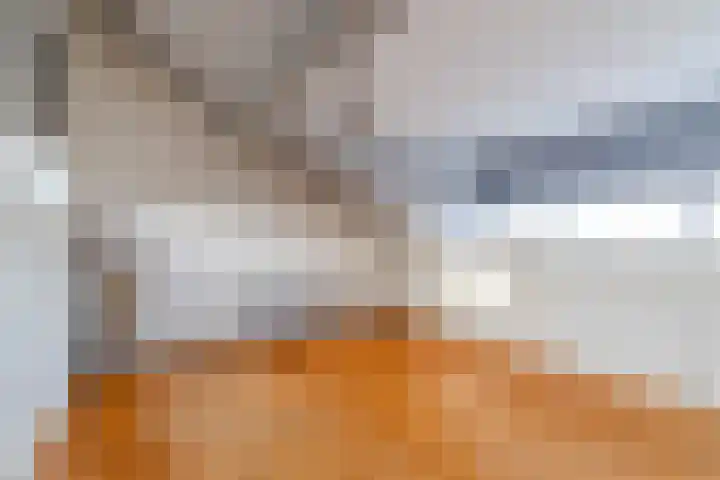 Sniplaan 11 Rijswijk thumbnail 30