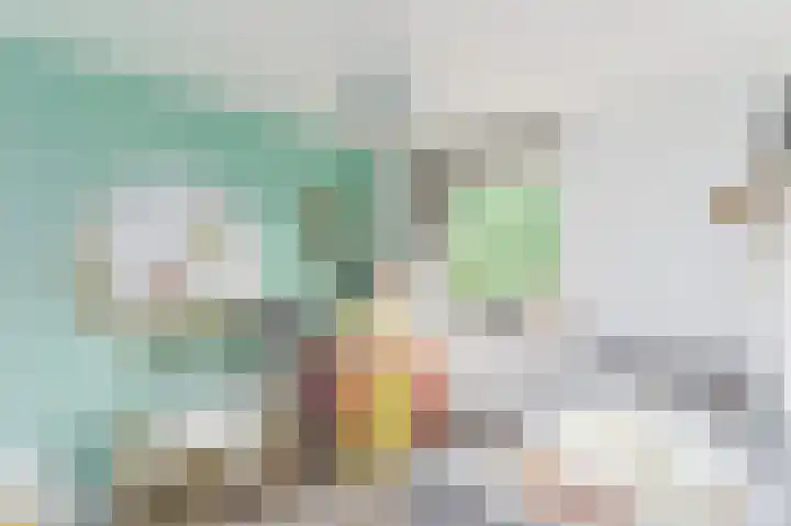 Sniplaan 13 Rijswijk thumbnail 16