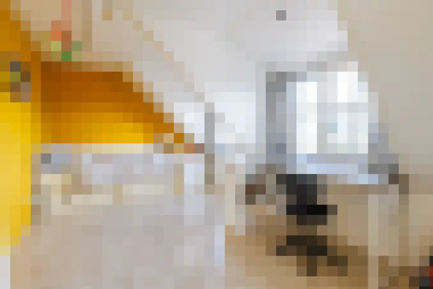 Sniplaan 19 Doetinchem thumbnail 29