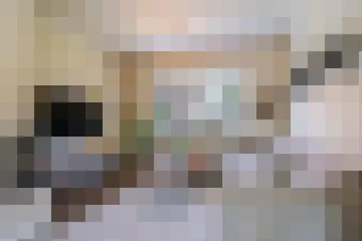 Sniplaan 6 Doetinchem thumbnail 20