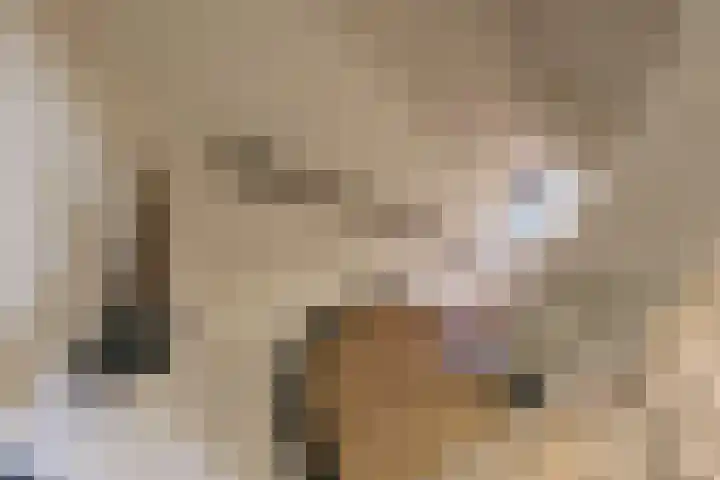 Sniplaan 6 Doetinchem thumbnail 30