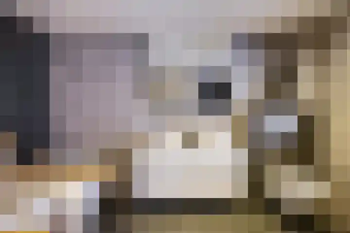 Sniplaan 6 Doetinchem thumbnail 36