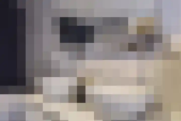 Sniplaan 6 Doetinchem thumbnail 38