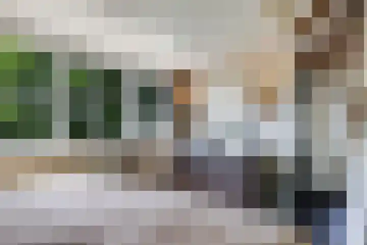 Sniplaan 6 Doetinchem thumbnail 43