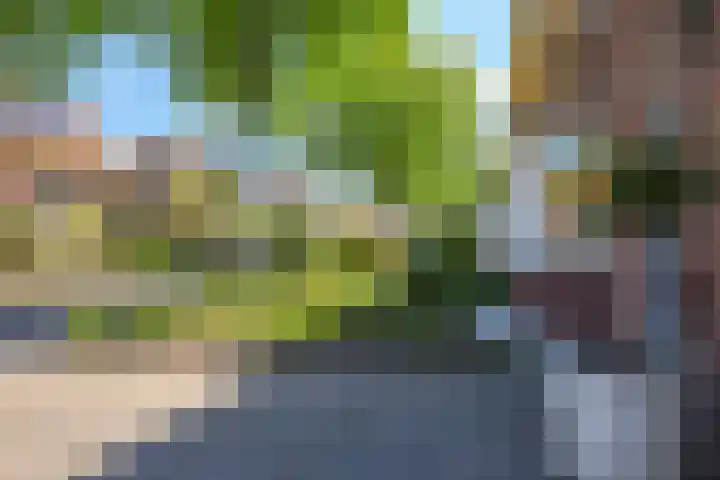 Sniplaan 6 Doetinchem thumbnail 50