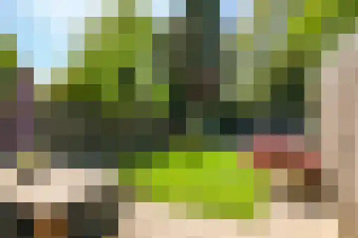 Sniplaan 6 Doetinchem thumbnail 58