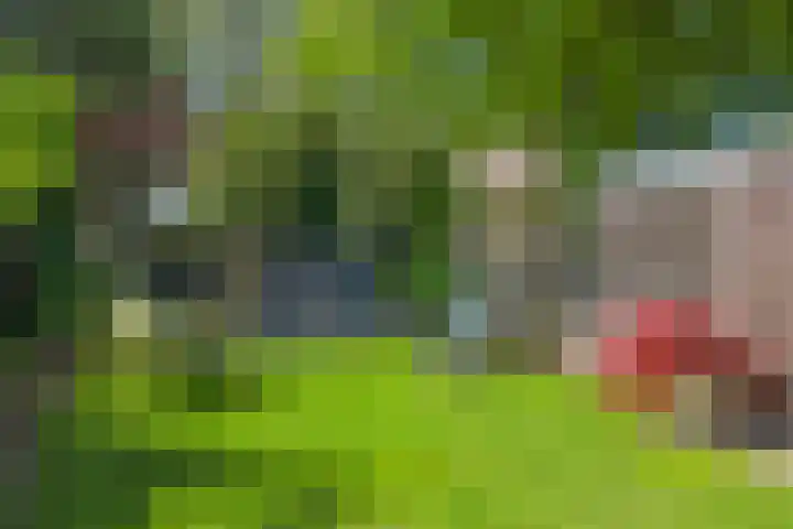 Sniplaan 6 Doetinchem thumbnail 60