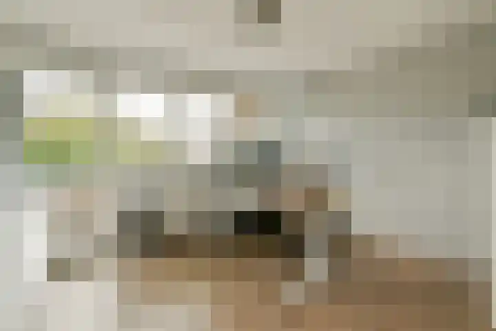 Snippedrift 21 Reeuwijk thumbnail 17