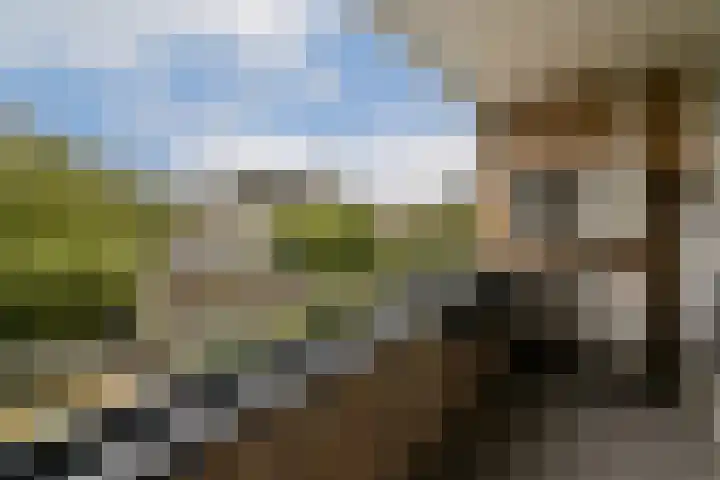 Snippedrift 21 Reeuwijk thumbnail 19