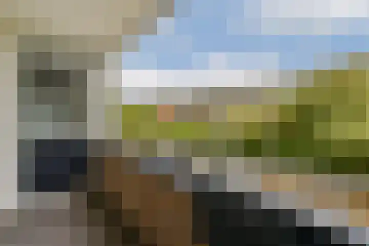 Snippedrift 21 Reeuwijk thumbnail 20