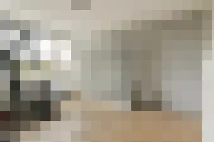 Snippedrift 21 Reeuwijk thumbnail 21