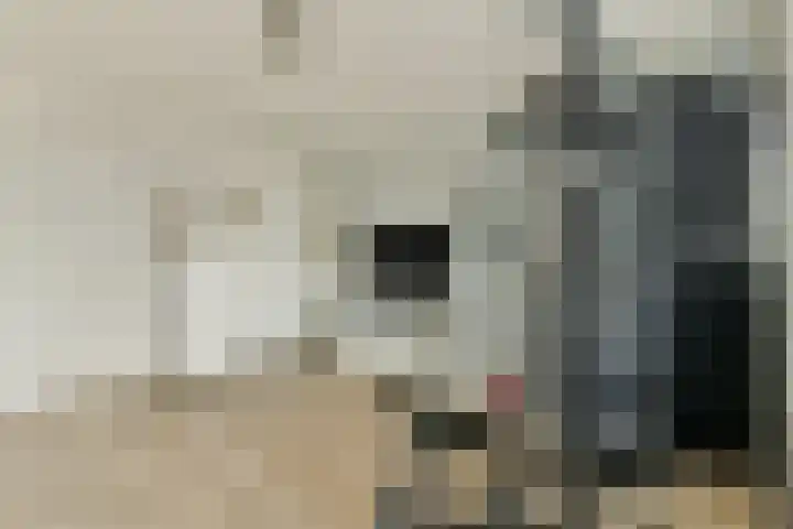 Snippedrift 21 Reeuwijk thumbnail 22