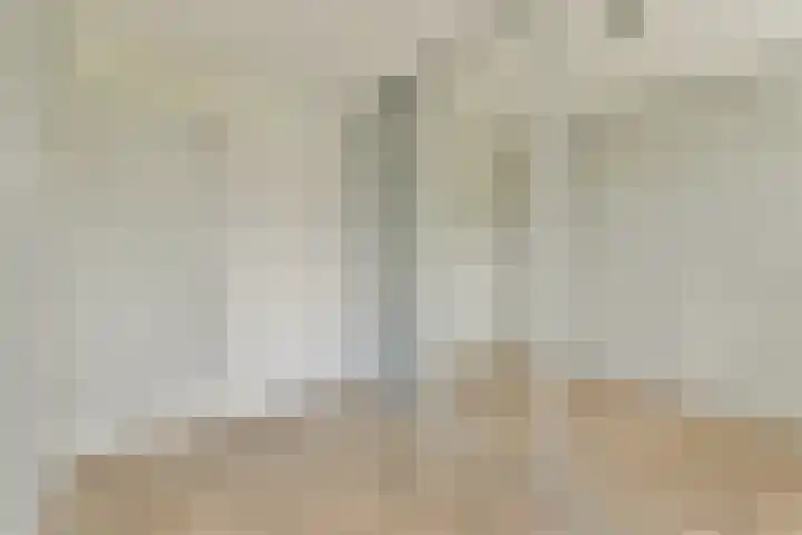 Snippedrift 21 Reeuwijk thumbnail 24