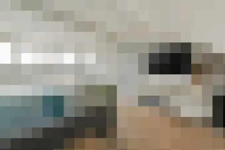 Snippedrift 21 Reeuwijk thumbnail 28