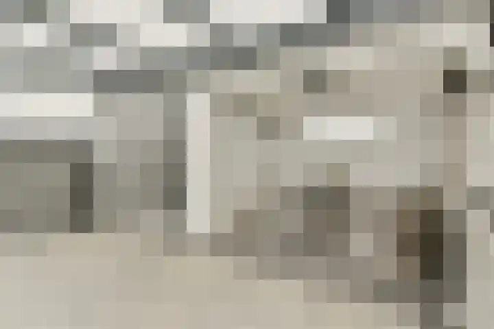 Snippedrift 21 Reeuwijk thumbnail 33