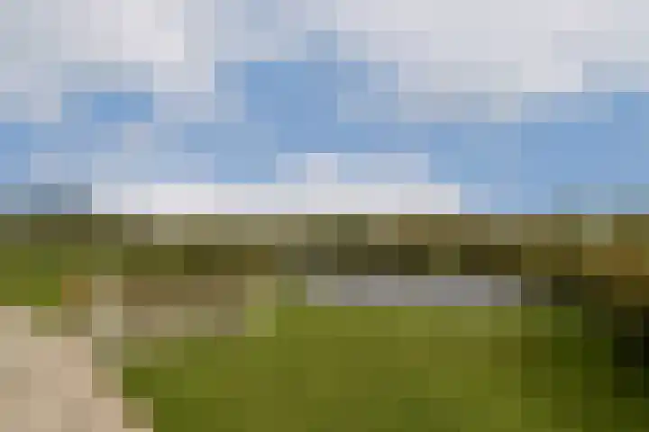 Snippedrift 21 Reeuwijk thumbnail 35