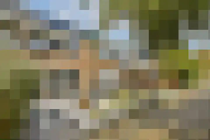 Snippedrift 21 Reeuwijk thumbnail 5