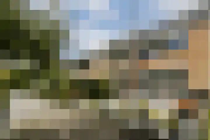 Snippedrift 21 Reeuwijk thumbnail 6