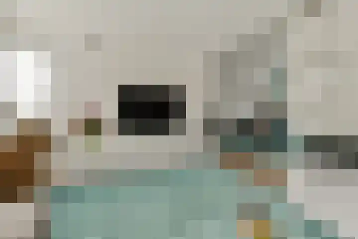 Snippedrift 21 Reeuwijk thumbnail 8