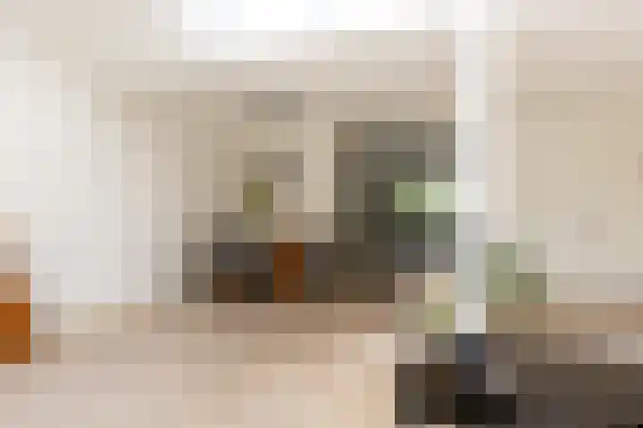 Snippedrift 26 Reeuwijk thumbnail 11