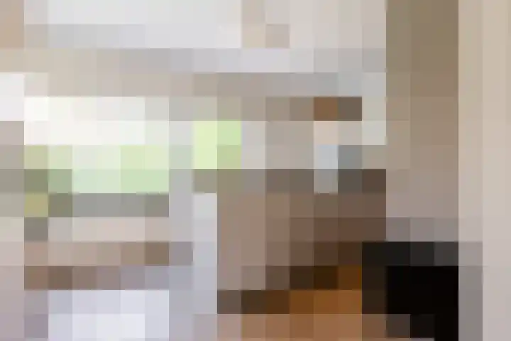 Snippedrift 26 Reeuwijk thumbnail 16