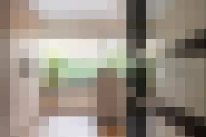 Snippedrift 26 Reeuwijk thumbnail 21